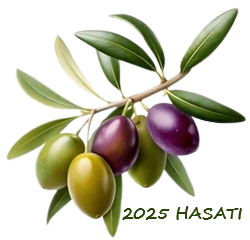 2025HASAT.png (73 KB)